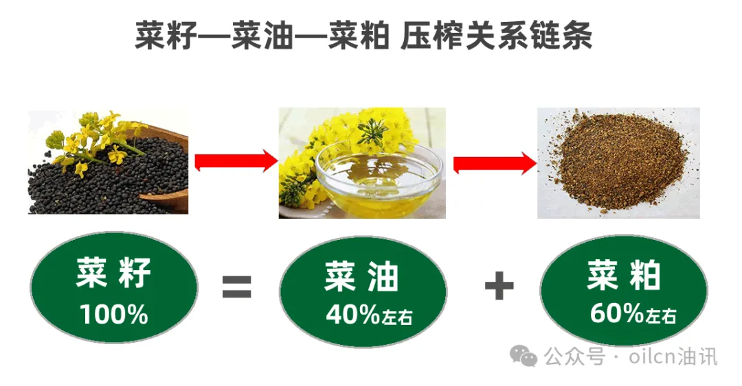 20250311/2ab776d322b734b9aebfe95aa0c00b0e.png