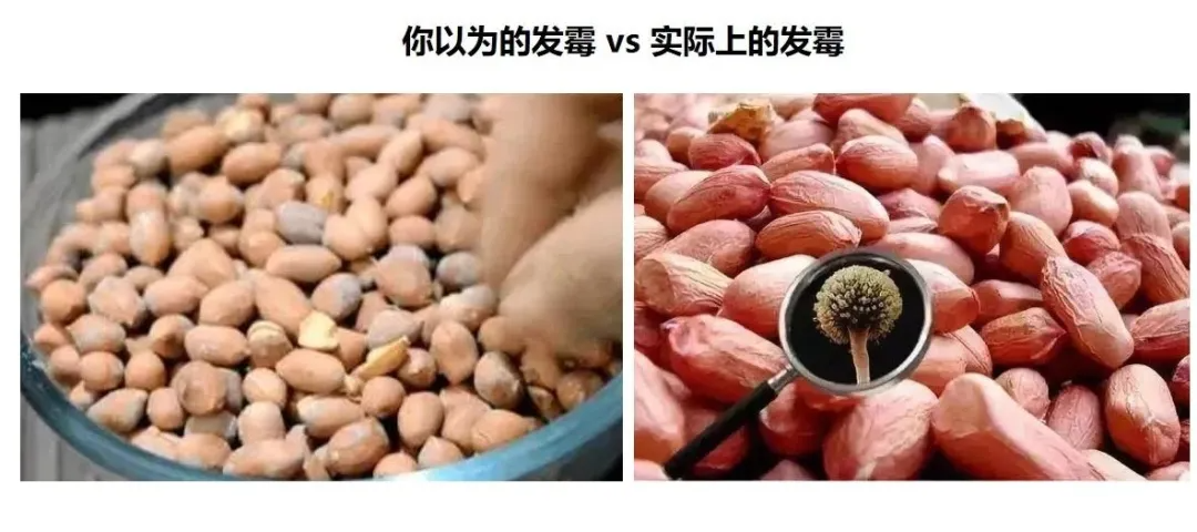 20250312/2c0faf99f289e101c2d33ad769182491.png